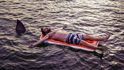 Море, акула, плавник, человек, фото - Новости Zakon.kz от 17.07.2025 04:30