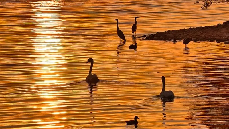 Жара до +43°C, пыльная буря и ливень: штормовое предупреждение объявили в Казахстане