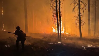 Пожар, огонь, пожарный, фото - Новости Zakon.kz от 12.07.2025 15:10