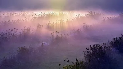 , фото - Новости Zakon.kz от 22.07.2025 18:07