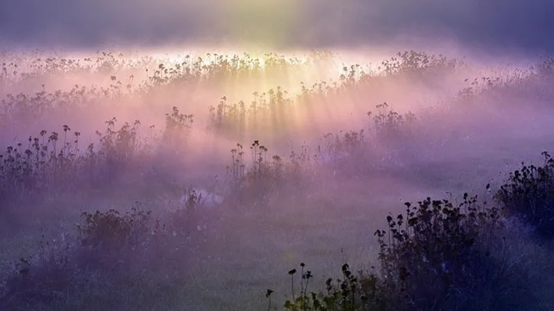 Туман, пыльная буря и жара до +42°С: в Казахстане объявили штормовое предупреждение