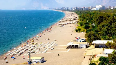 На побережье Турции выявили опасные бактерии, фото - Новости Zakon.kz от 22.07.2025 06:16