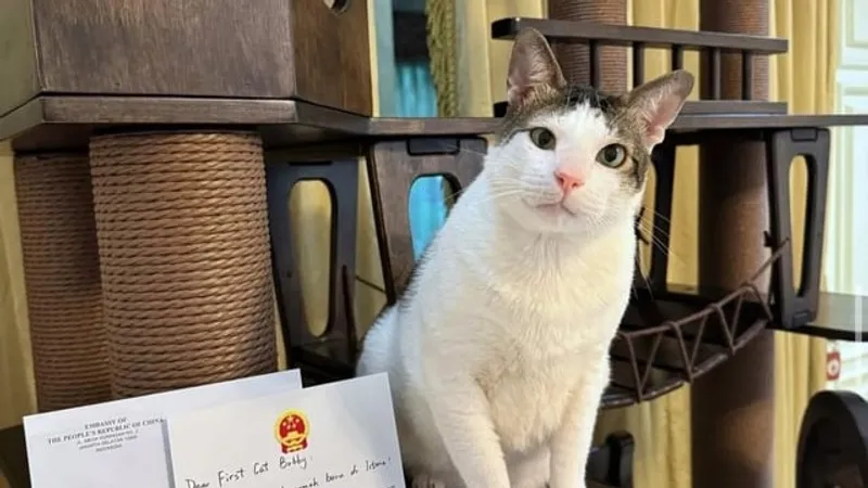 Скандал в соцсетях: кот президента Индонезии получил личную охрану