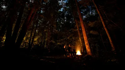 Поход, ночные посиделки в лесу, фото - Новости Zakon.kz от 23.07.2025 04:43