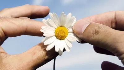 Причины возникновения артрита , фото - Новости Zakon.kz от 22.07.2025 07:25