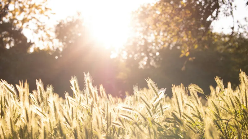 Сильная жара до +42°C надвигается на 13 регионов Казахстана