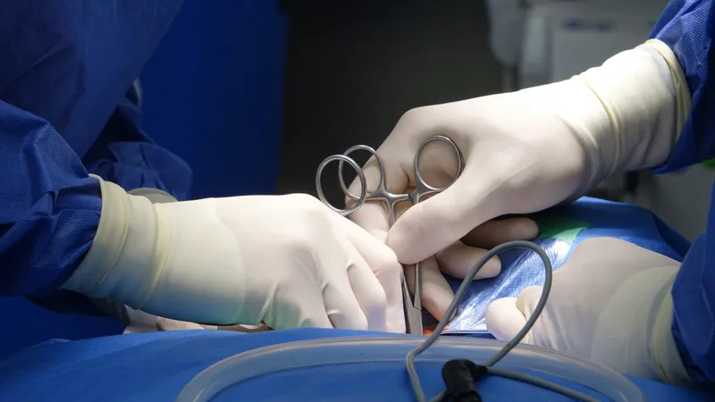 15-летний подросток умер от сепсиса после укуса насекомого