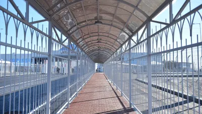 , фото - Новости Zakon.kz от 05.10.2025 11:57