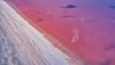 розовое озеро, Павлодарская область, красиво видео, соль, видеограф, фото - Новости Zakon.kz от 23.07.2025 11:47