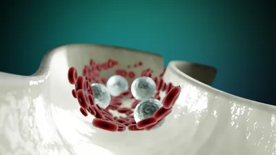 Кровь, вещества, строение, фото - Новости Zakon.kz от 23.07.2025 06:40