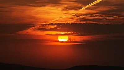 , фото - Новости Zakon.kz от 24.07.2025 10:25