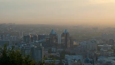 , фото - Новости Zakon.kz от 24.07.2025 17:45