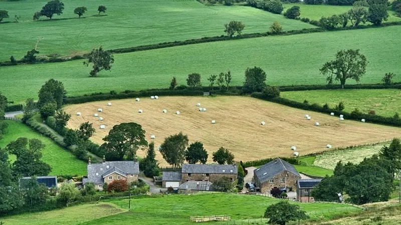 Тысячи ферм закрылись за год в Британии из-за нового налога на наследство