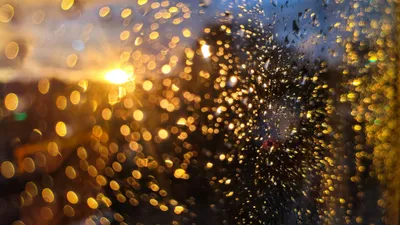 , фото - Новости Zakon.kz от 26.07.2025 09:13