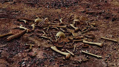 древние люди оказывается ели детей, фото - Новости Zakon.kz от 25.07.2025 19:25