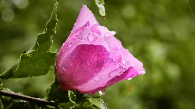 , фото - Новости Zakon.kz от 25.07.2025 18:09