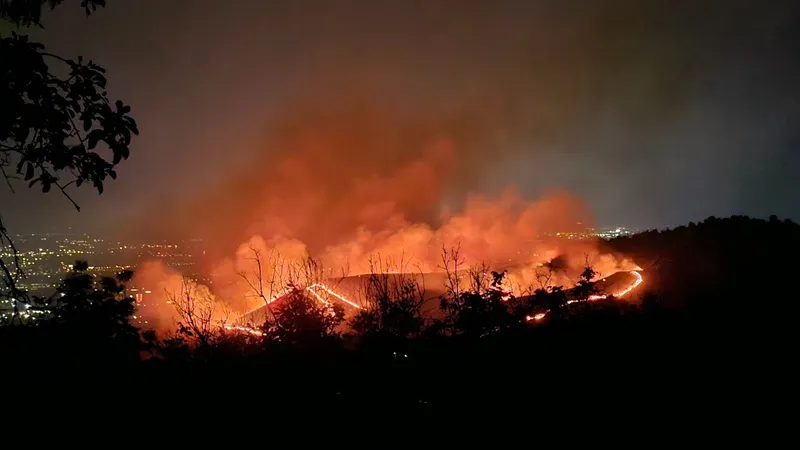 На склоне горы в Алматы полыхнул пожар