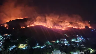 пожар в горах Алматы, фото - Новости Zakon.kz от 25.07.2025 21:25