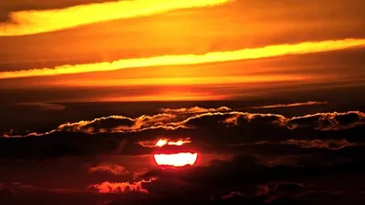 штормовое предупреждение, фото - Новости Zakon.kz от 26.07.2025 20:46