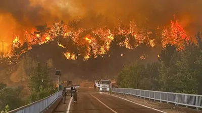 пожар в Турции, фото - Новости Zakon.kz от 26.07.2025 19:47