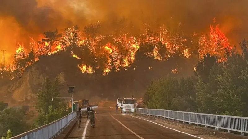 Жертвы, эвакуация и аномальная жара: в Турции бушуют масштабные пожары