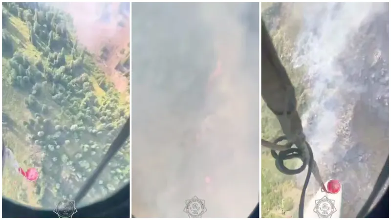 Пожар вспыхнул в урочище Кокмойын в области Жетысу