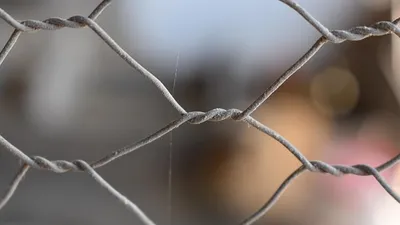 семью арестовали за издевательства над приемными детьми, фото - Новости Zakon.kz от 28.07.2025 01:26