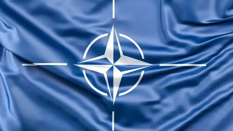 В Австрии заявили о готовности обсудить вступление в НАТО