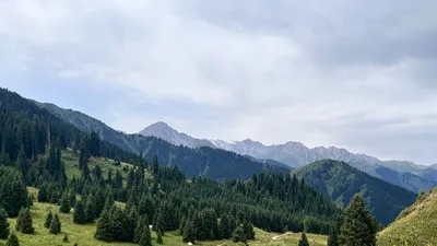 Горы, горный пейзаж, фото - Новости Zakon.kz от 28.07.2025 12:38