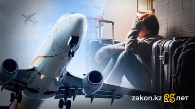 , фото - Новости Zakon.kz от 12.08.2025 11:38