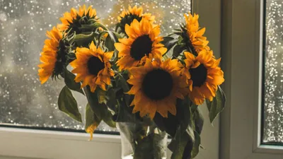 , фото - Новости Zakon.kz от 28.07.2025 17:27