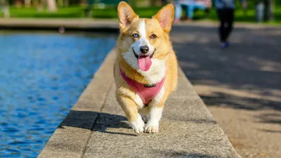 , фото - Новости Zakon.kz от 06.08.2025 11:29