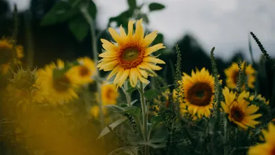 , фото - Новости Zakon.kz от 23.09.2025 12:21