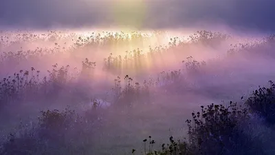 штормовое предупреждение, фото - Новости Zakon.kz от 29.07.2025 19:50