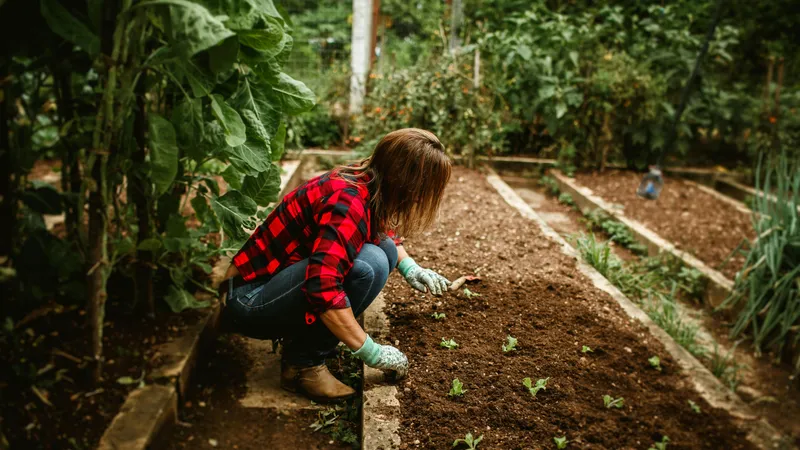 Астрологи назвали знаки зодиака, которые считаются "хроническими" огородниками