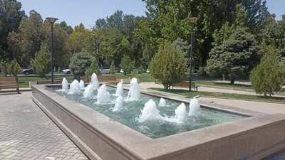 озеленение, фото - Новости Zakon.kz от 29.07.2025 21:22