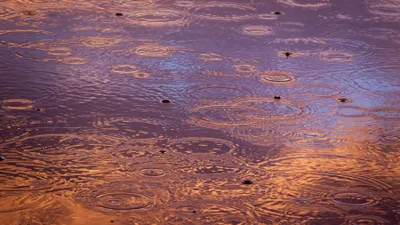 , фото - Новости Zakon.kz от 30.07.2025 10:51