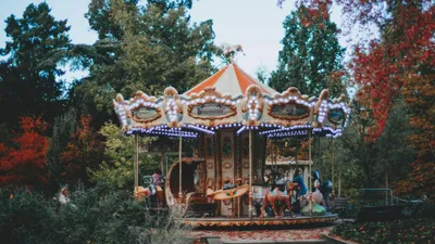 карусель в Алматы, пострадавшая девочка, травма головы, полиция, сенатор, фото - Новости Zakon.kz от 29.07.2025 12:46