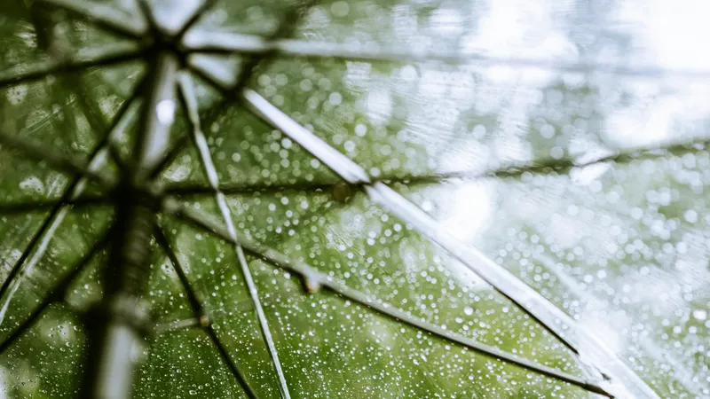 Резкое похолодание до +15 и дожди с грозами накроют Казахстан