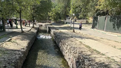 Волонтеры убрали мусор, фото - Новости Zakon.kz от 31.07.2025 15:49