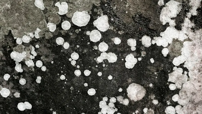 В Казахстане на пятницу объявили штормовое предупреждение