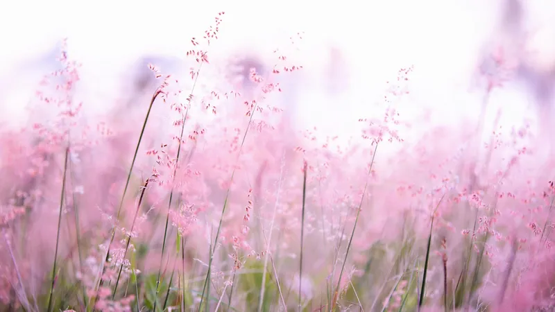 Опасные приметы 1 августа: чего категорически нельзя делать