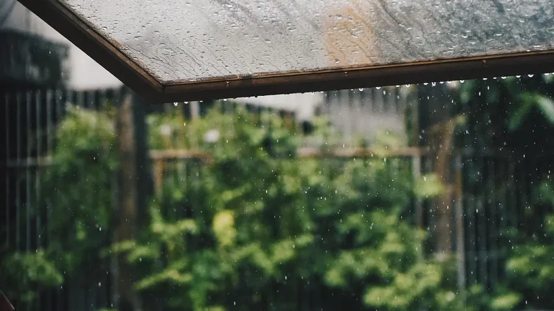 Дожди и снижение температуры: погода на неделю в Алматы