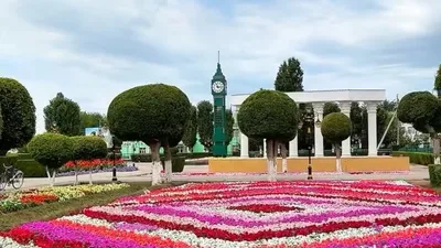 аула имени Наги Ильясов, Кызылординская область, Дмитрий Доценко, фото - Новости Zakon.kz от 02.08.2025 21:11