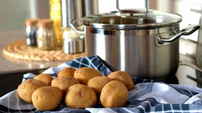 картофель, томат, ученые, исследования, фото - Новости Zakon.kz от 02.08.2025 15:07