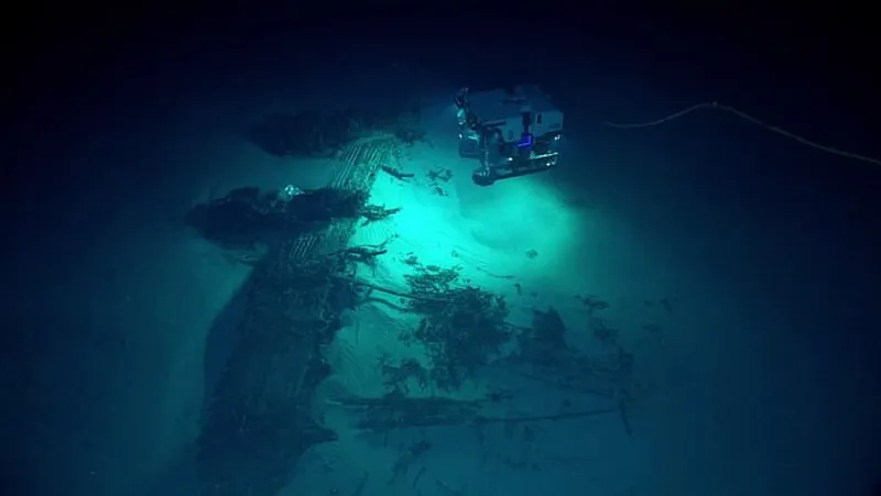 В Марианской впадине обнаружили самую глубоководную колонию существ