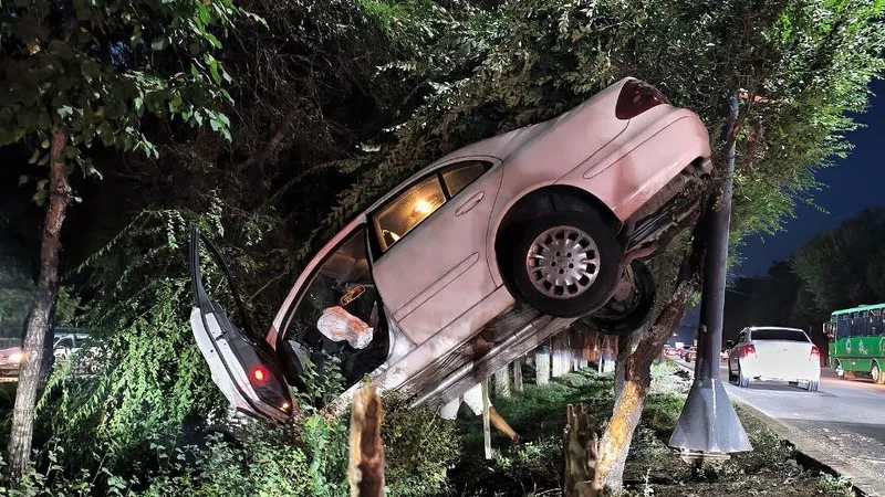 Алматинку на Chrysler госпитализировали после ДТП с деревом