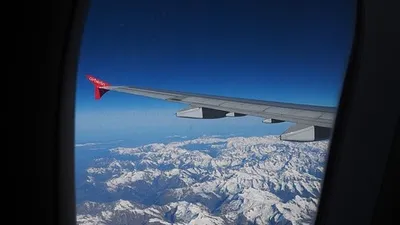 пожилая пара с собакой пропала без вести во время полета к родственникам, фото - Новости Zakon.kz от 05.08.2025 00:18