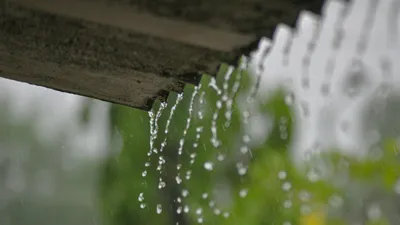 крыша, капли дождя, фото - Новости Zakon.kz от 04.08.2025 17:44