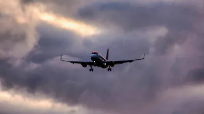 , фото - Новости Zakon.kz от 12.08.2025 11:38